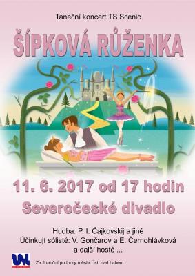 TS SCENIC - pkov renka